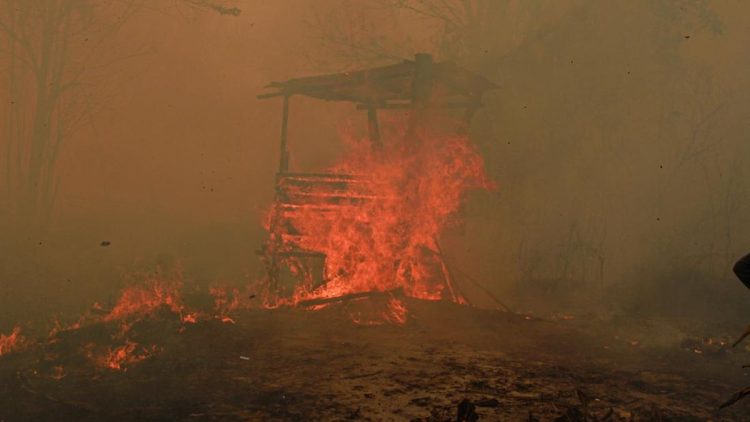 Catatan BPBD 936 Hektare Hutan dan Lahan Terbakar di Kaltim