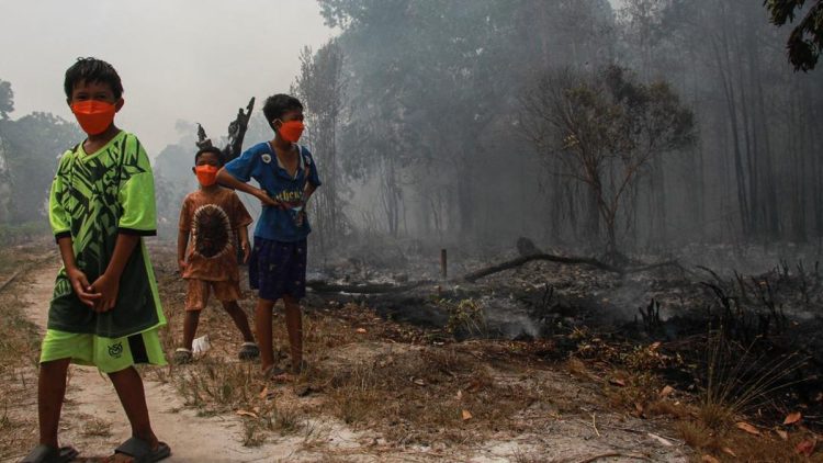 298 Kasus di Palangka Raya Akibat Penerbangan yang Dibatalkan