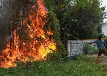 Dua Pelajar Ditangkap Karena Diduga Membakar Lahan di Belitung Timur