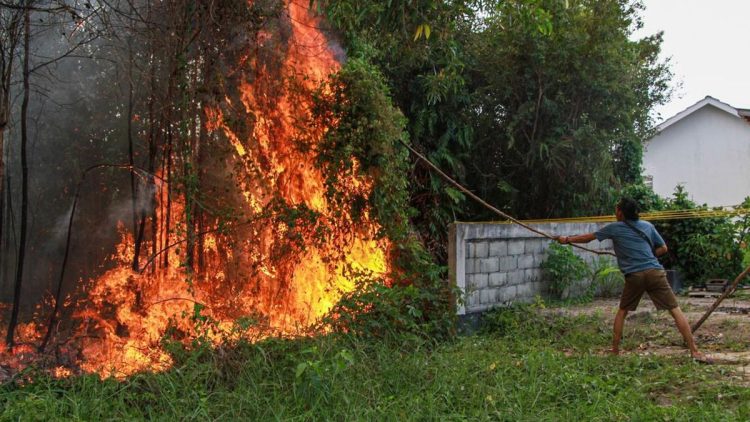 Dua Pelajar Ditangkap Karena Diduga Membakar Lahan di Belitung Timur