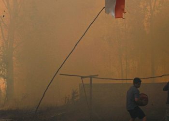 Penanganan Karhutla Kalimantan Harus Menjadi Prioritas Nasional Menurut Komisi IV