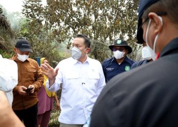 Wamen LH Dorong Swasta Bangun Sekat Kanal Atasi Karhutla di Kalimantan Barat