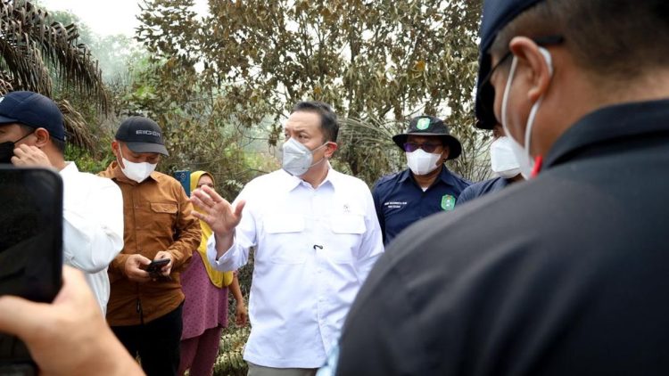 Wamen LH Dorong Swasta Bangun Sekat Kanal Atasi Karhutla di Kalimantan Barat