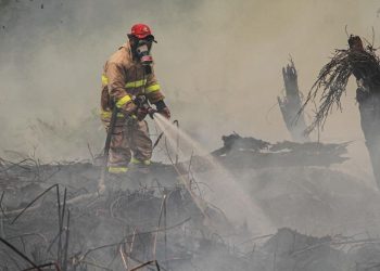 Deteksi Titik Api Karhutla Meningkat di Kalimantan dan Sumatra oleh BNPB