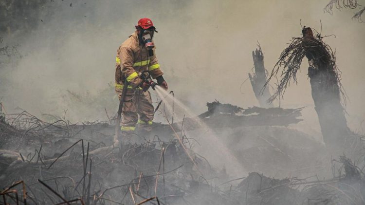 Deteksi Titik Api Karhutla Meningkat di Kalimantan dan Sumatra oleh BNPB