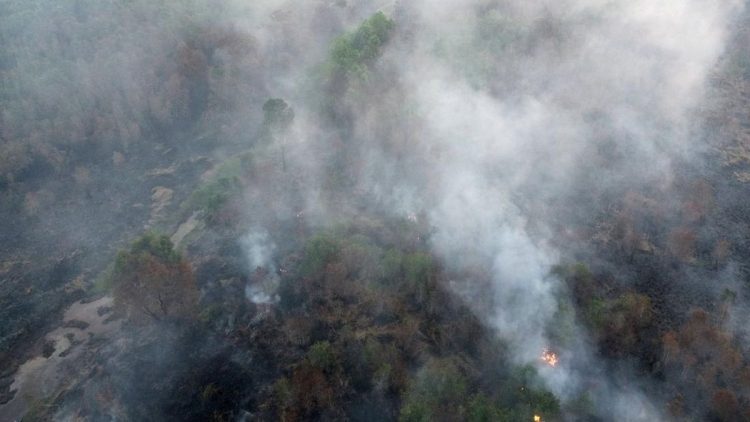 Karhutla Sumsel Mencapai 1.926 Ha, Tiga Kali Luas Kecamatan Menteng Jakarta