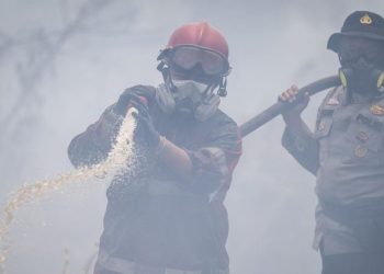 Polda Sumsel Ungkap 17 Tersangka Ditahan Kasus Kebakaran Hutan dan Lahan