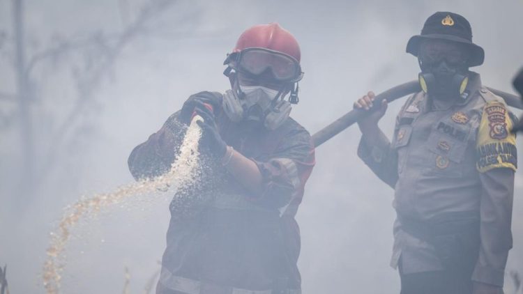 Polda Sumsel Ungkap 17 Tersangka Ditahan Kasus Kebakaran Hutan dan Lahan
