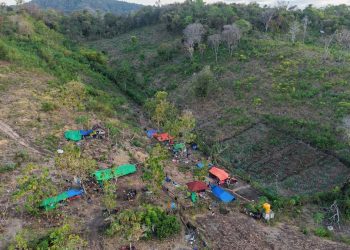 Catatan BMKG 4258 Gempa Susulan di NTT Berpotensi Terjadi Hingga 4 Minggu