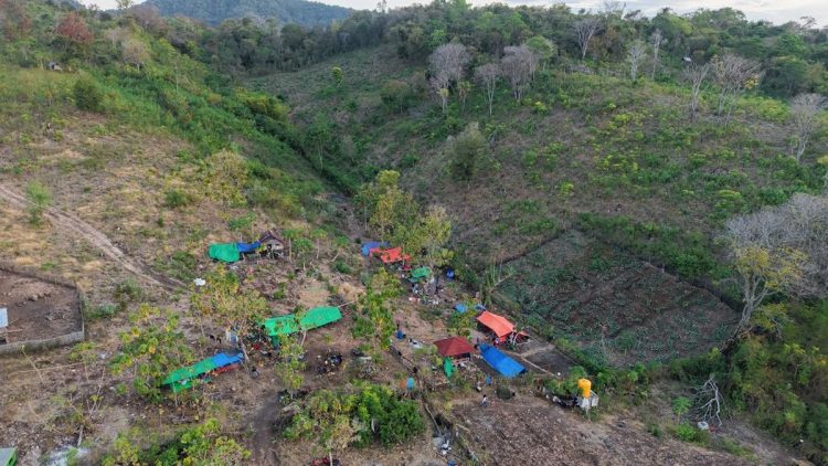Catatan BMKG 4258 Gempa Susulan di NTT Berpotensi Terjadi Hingga 4 Minggu