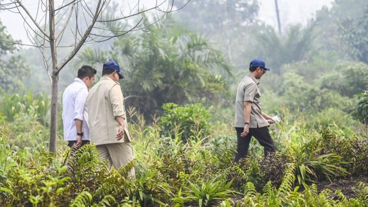 Prabowo Kunjungi Riau untuk Tinjau Penanganan Karhutla di Sumatra