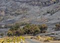 Savana Gunung Bromo Terbakar Menyebabkan Perubahan Warna Menghitam