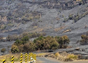 Savana Gunung Bromo Terbakar Menyebabkan Perubahan Warna Menghitam