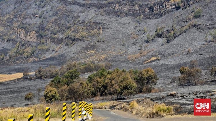 Savana Gunung Bromo Terbakar Menyebabkan Perubahan Warna Menghitam