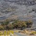 Savana Gunung Bromo Terbakar Menyebabkan Perubahan Warna Menghitam