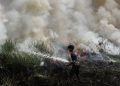 Kesaksian Aktivis Tentang Cikal Karhutla yang Diduga Akibat Pembukaan Lahan