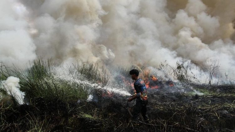 Kesaksian Aktivis Tentang Cikal Karhutla yang Diduga Akibat Pembukaan Lahan