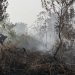 Kebakaran Lahan Kulon Progo, Api Terjadi di Bendungan Kamijoro
