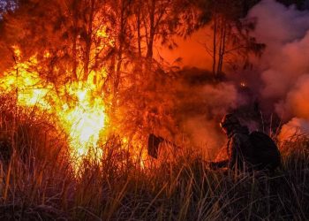 Dugaan Awal Kebakaran Bromo oleh Wagub Jatim Terungkap: Kelalaian Manusia