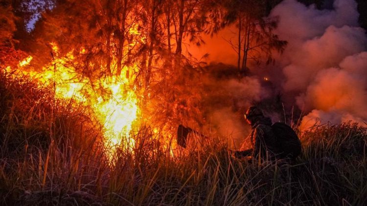Dugaan Awal Kebakaran Bromo oleh Wagub Jatim Terungkap: Kelalaian Manusia