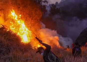 Kebakaran Bromo Meluas Hingga 742 Hektare