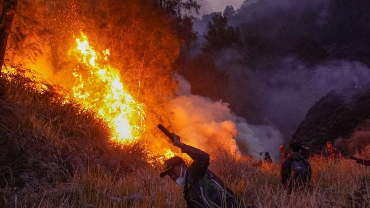 Kebakaran Bromo Meluas Hingga 742 Hektare