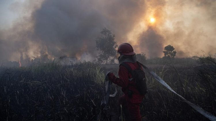 Karhutla Kalsel Meningkat, Penambahan Pasukan Darat dan Water Bombing