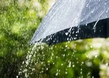 Sejumlah Kota Besar Berpotensi Hujan Menurut BMKG, Ini Daftarnya