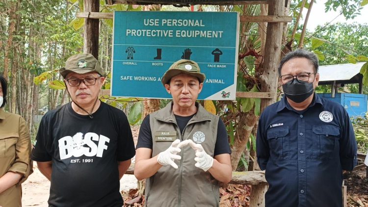 Menhut Serukan Waspada Kebakaran Hutan Meski Titik Panas Turun