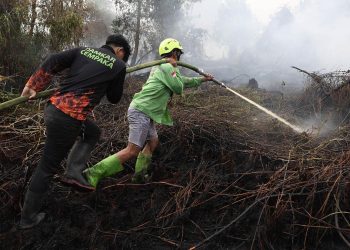 Kebakaran Hutan Menyebabkan 50891 Kasus ISPA dalam Dua Bulan