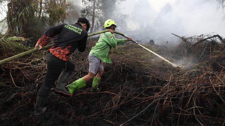 Kebakaran Hutan Menyebabkan 50891 Kasus ISPA dalam Dua Bulan
