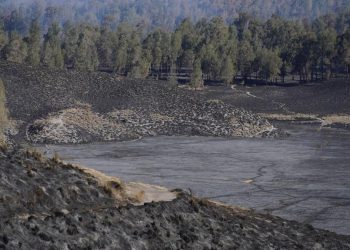 Kebakaran Hutan Gunung Semeru Padam, Hanguskan 3.072 Hektare Lahan