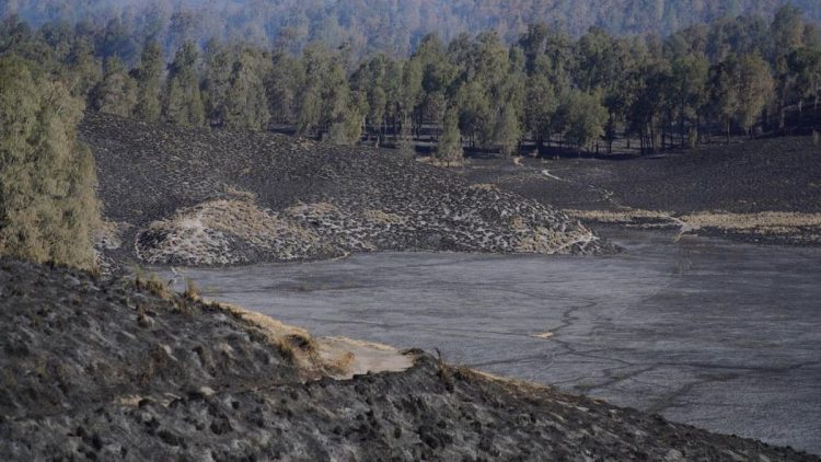 Kebakaran Hutan Gunung Semeru Padam, Hanguskan 3.072 Hektare Lahan