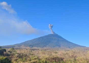 Ili Lewotolok Erupsi Empat Kali dalam 48 Jam, Kolom Abu Mencapai 600 Meter