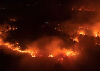Kawasan Gunung Ijen Terbakar, Api Meluas di Cagar Alam