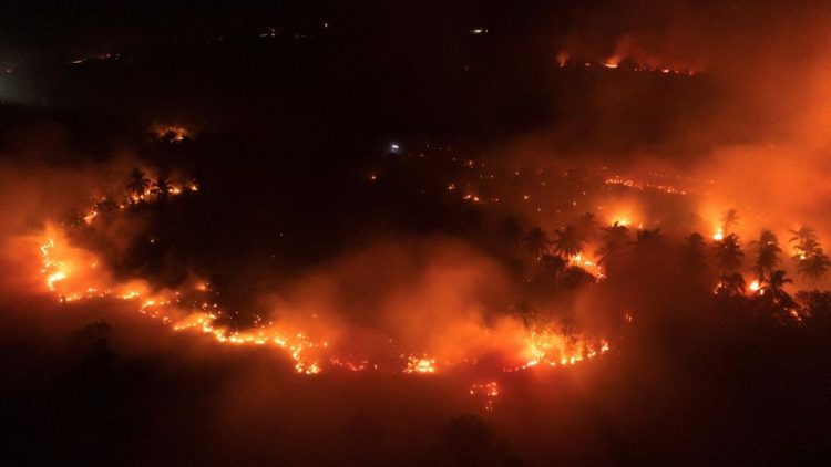 Kawasan Gunung Ijen Terbakar, Api Meluas di Cagar Alam