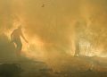 Karhutla Gunung Merapi dan TWA Kawah Ijen Meluas hingga 20 Hektare