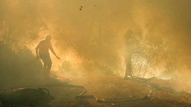 Karhutla Gunung Merapi dan TWA Kawah Ijen Meluas hingga 20 Hektare