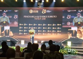Kementerian ESDM Perluas Jaringan Listrik Desa untuk Meningkatkan Ekonomi
