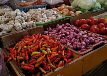 Cabai Rawit Merah Harga 94700 Rupiah per Kg