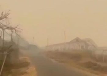 Kebakaran Hutan Papua Mengakibatkan Kabut Asap di Mimika