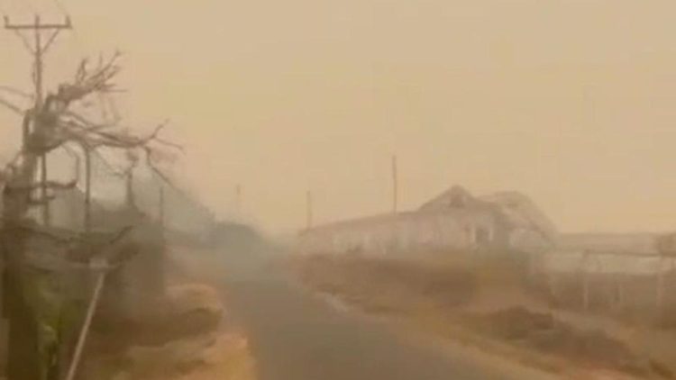 Kebakaran Hutan Papua Mengakibatkan Kabut Asap di Mimika