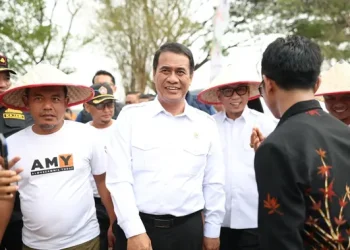Harga Singkong Lampung Naik Menjadi Rp3.050 per Kg, Petani Apresiasi Pemerintah