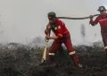 Update Kebakaran Hutan Terbaru, Kalteng Tertinggi