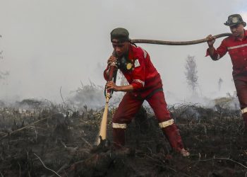 Update Kebakaran Hutan Terbaru, Kalteng Tertinggi