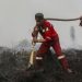 Update Kebakaran Hutan Terbaru, Kalteng Tertinggi