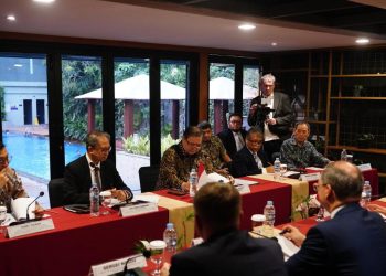 Perluasan Kerja Sama Industri Perkapalan dan Penerbangan antara RI dan Rusia