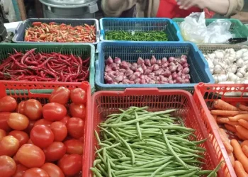 Cabai Keriting Merah Harga 80 Ribu di Pasar Gondangdia
