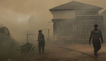 Akses Sulit dan Krisis Air Hambat Pemadaman Kebakaran Hutan di Kalimantan