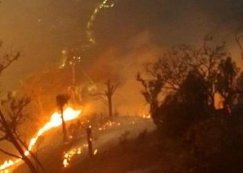 Polri Tetapkan 245 Tersangka Kebakaran Hutan dan Lahan dengan Luas Terbakar 5.859 Hektare
